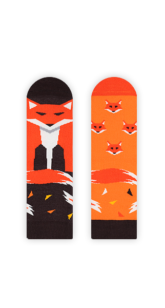 Kindersocken, Fuchs Socken für Kinder, Motivsocken für Kinder.