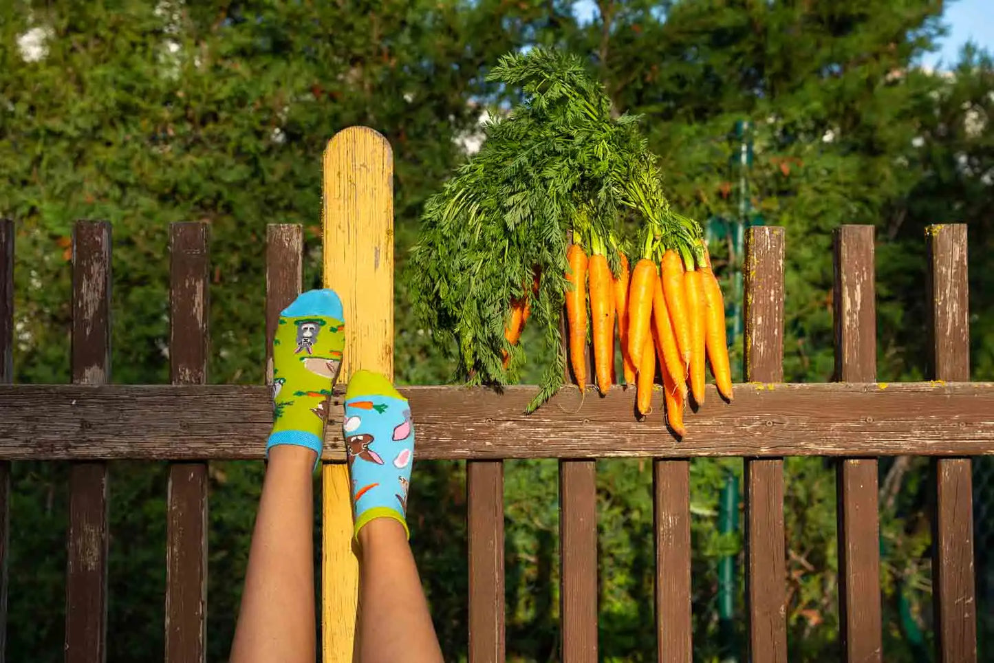 Sneakersocken, Hasen Sneakersocken, bunte Sneakersocken, Sneakersocken mit Motiven.