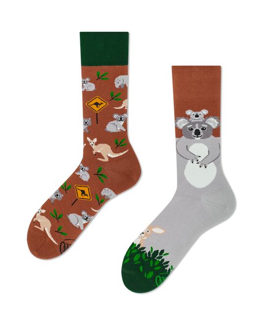 Koalabär Socken, Känguru Socken, Socken mit Tiermotiven, Motivsocken, Themensocken, Geschenkidee für Tierpflegerin.