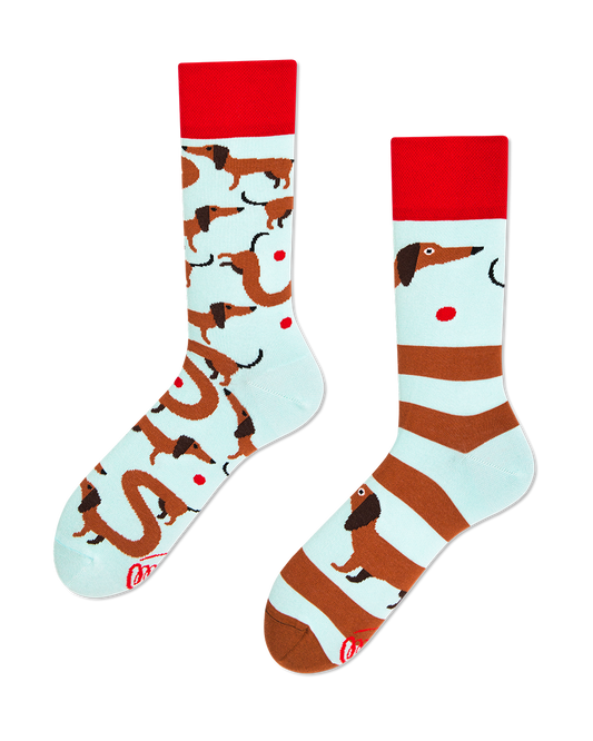 Dackel Socken, Socken mit Tiermotiven, Motivsocken, Themensocken, Geschenkidee für Tierarzt.