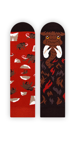 Kindersocken, Mammut Socken für Kinder, Motivsocken für Kinder.