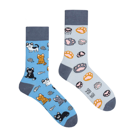 Katzen Socken, Motivsocken, bunte Socken, Geschenkidee für Katzenbesitzer.