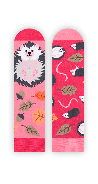 Kindersocken, Igel Socken für Kinder, Motivsocken für Kinder.