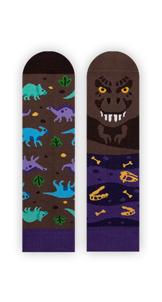 Kindersocken, T-Rex Socken für Kinder, Dino Socken für Kinder, Motivsocken für Kinder.