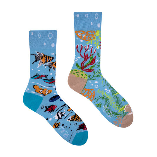 Fisch Socken, Aquarium Socken, Motivsocken, bunte Socken, Geschenkidee für Aquaristiker.