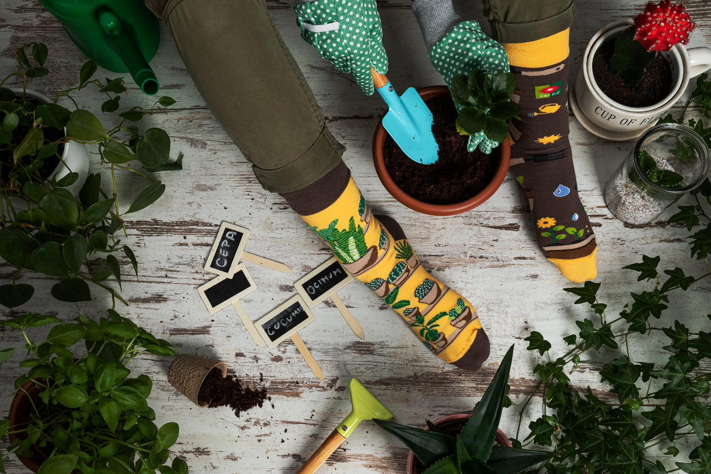 Pflanzen Socken, Gärtnerin Socken, Motivsocken, bunte Socken, Geschenkidee für Gärtnerin.