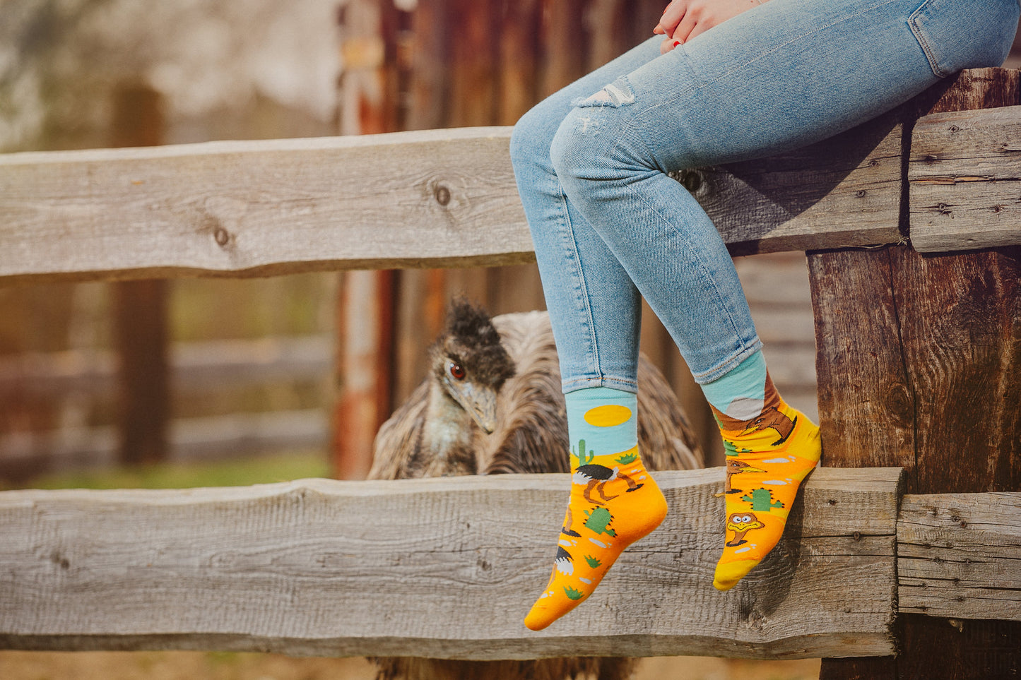 Strauß Socken, Wüsten Socken, Motivsocken, bunte Socken, Geschenkidee für Straußenfarm.