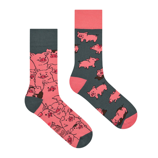 Schweine Socken, Motivsocken, bunte Socken, Geschenkidee für Schweinezüchter.