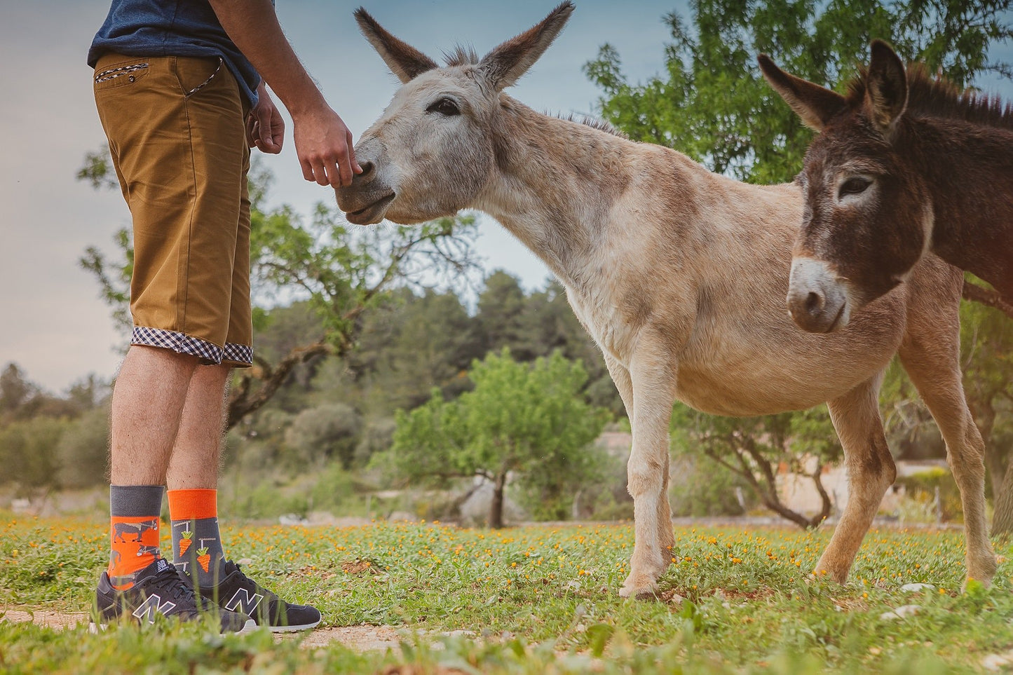 Esel Socken, Karotten Socken, Motivsocken, bunte Socken, Geschenkidee für Tierpfleger.