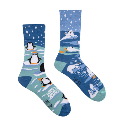 Pinguin Socken, Eisbär Socken, Motivsocken, bunte Socken, Geschenkidee zu Weihnachten.