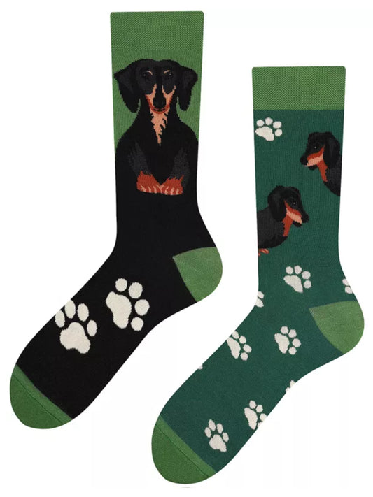 Dackel Socken, Motivsocken oder weitere Themensocken auf Sockeläuft.de