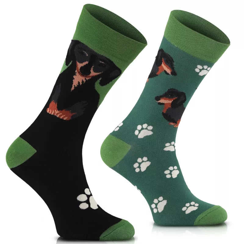 Dackel Socken, Motivsocken oder weitere Themensocken auf Sockeläuft.de