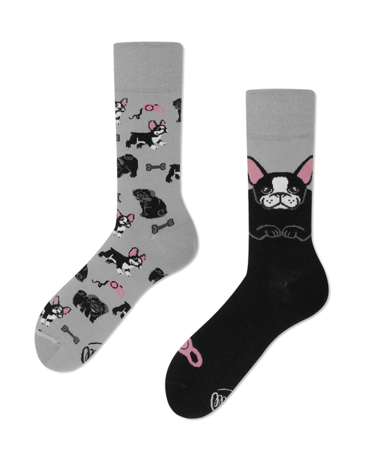 Hunde Socken, Französische Bulldogge, Motivsocken oder weitere Socken mit Tiermotiven auf Sockeläuft.de