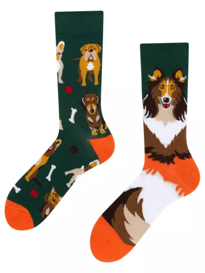 Hunde Socken, Colli Socken, Motivsocken oder weitere Themensocken auf Sockeläuft.de