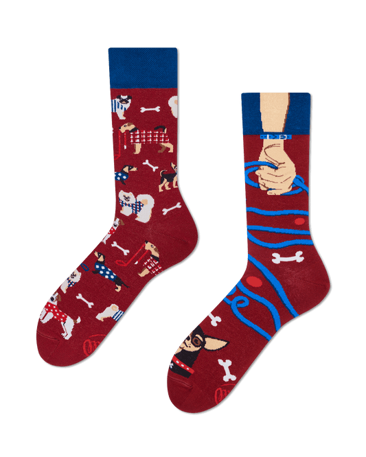 Hunde Socken, Motivsocken oder weitere Socken mit Tiermotiven auf Sockeläuft.de