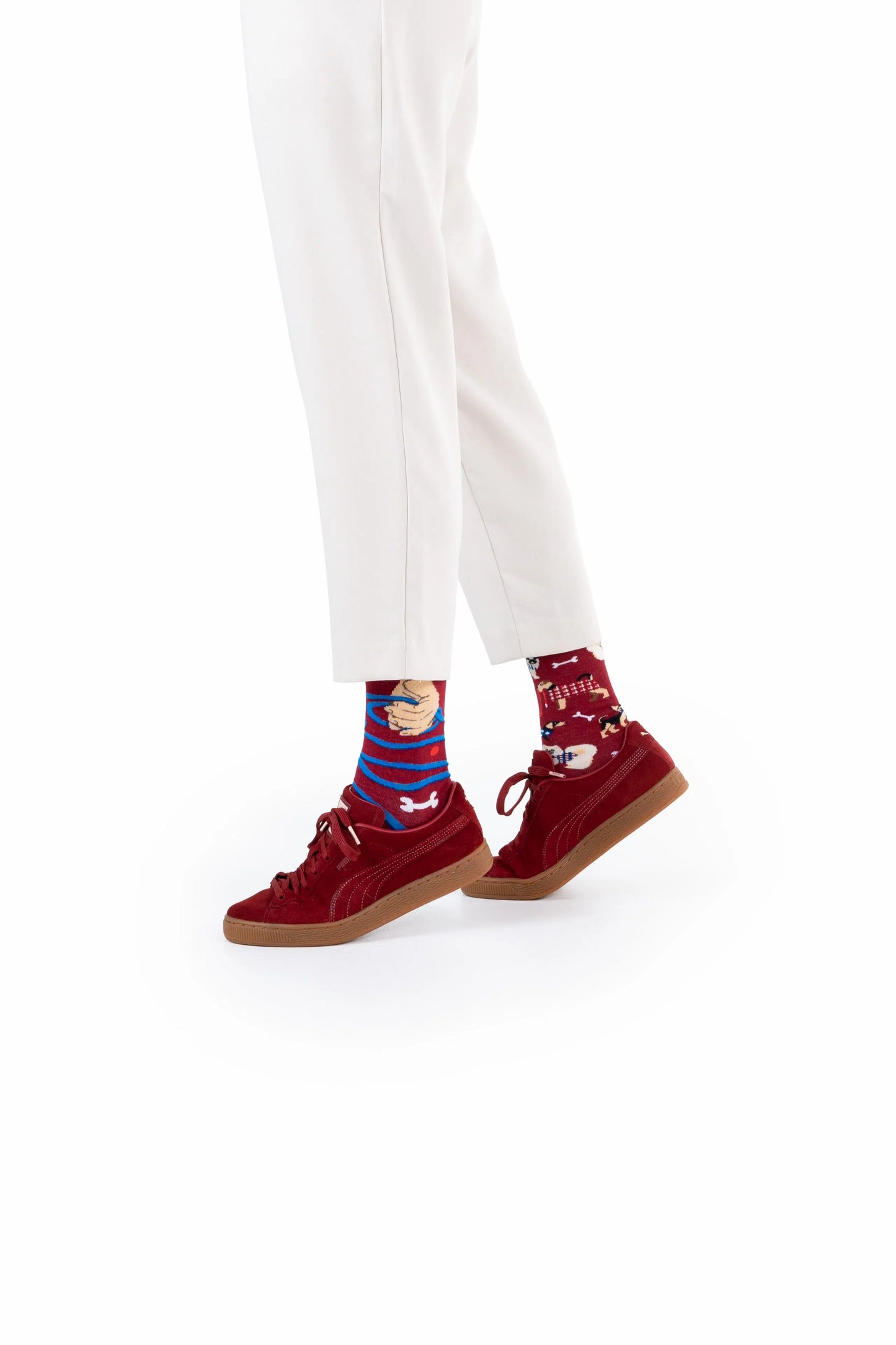 Hunde Socken, Motivsocken oder weitere Socken mit Tiermotiven auf Sockeläuft.de