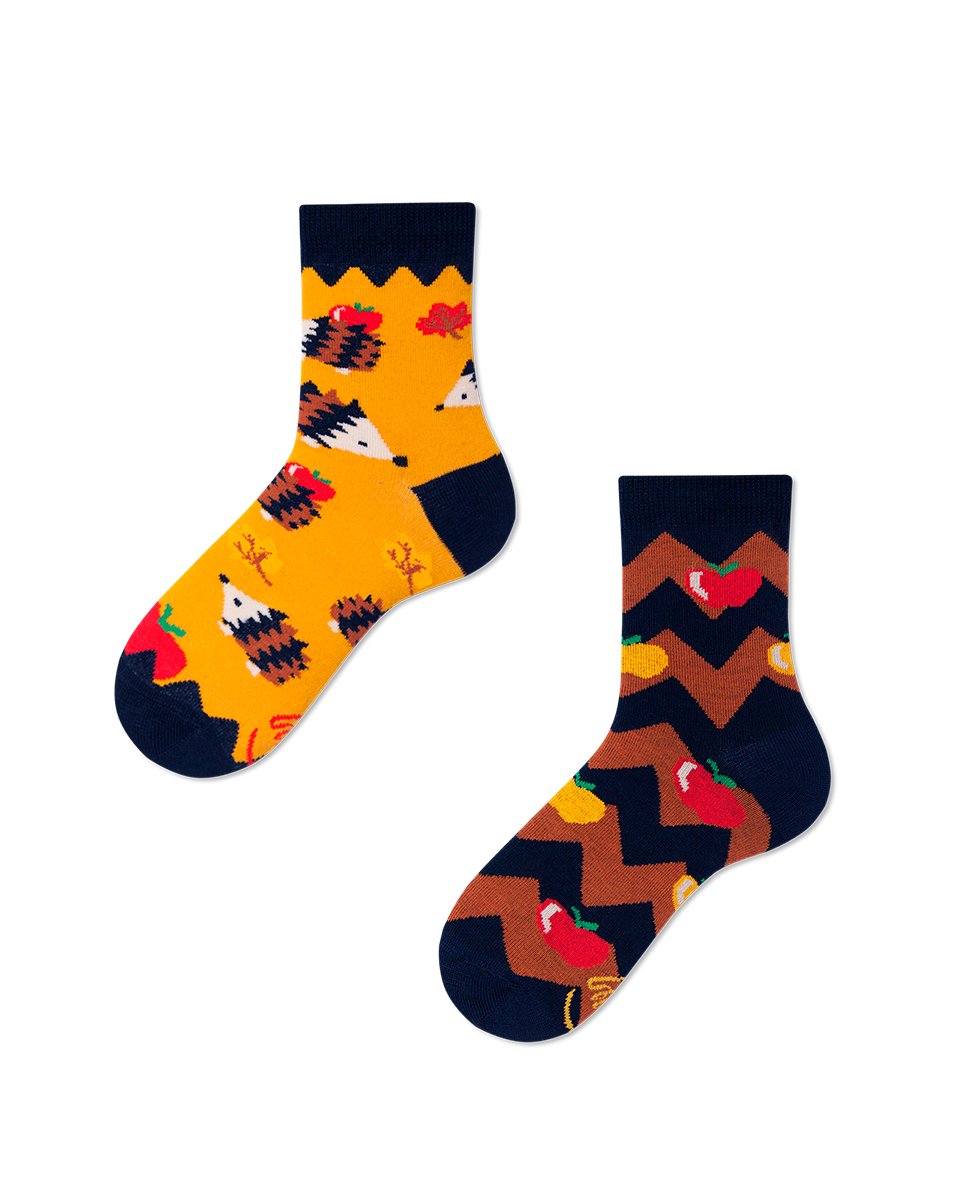 Igel Kindersocken, Apfel Kindersocken, Motivsocken für Kinder, Geschenkidee für Jungs und Mädchen.