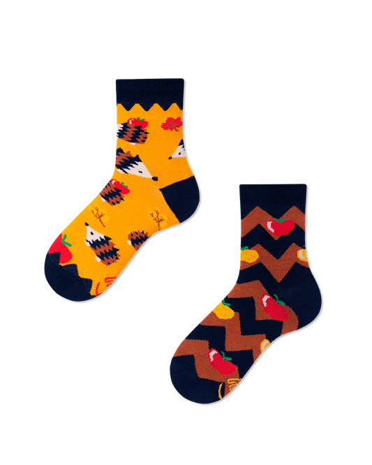 Igel Kindersocken, Apfel Kindersocken, Motivsocken für Kinder, Geschenkidee für Jungs und Mädchen.