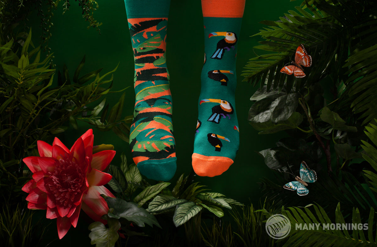 Tukan Socken, Socken mit Tiermotiven, Motivsocken, Themensocken, Geschenkidee für Vögelfreunde.