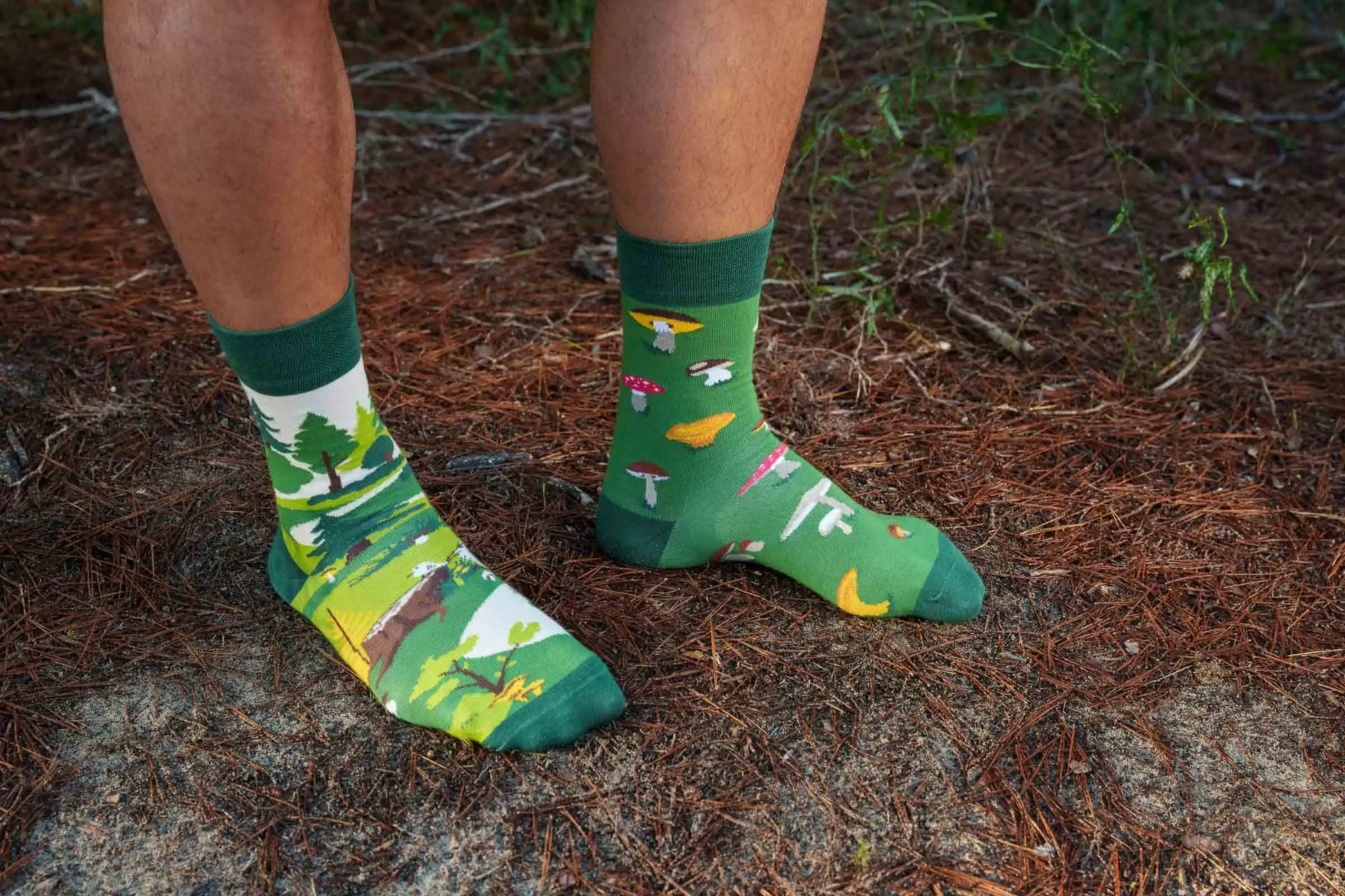 Pilz Socken, Motivsocken oder weitere Themensocken auf Sockeläuft.de