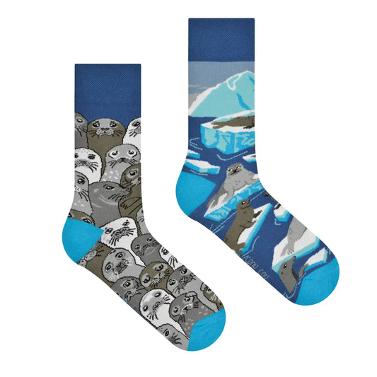 Seehund Socken, Robben Socken, Motivsocken, bunte Socken, Geschenkidee für Küstenkinder