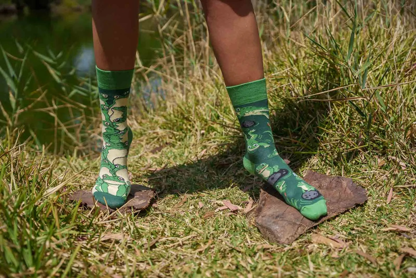 Frosch Socken, Motivsocken, bunte Socken, Geschenkidee für Tierfreunde