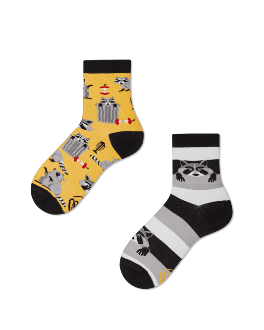 Waschbär Kindersocken, oder weitere Motivsocken für Kinder auf Sockeläuft.de