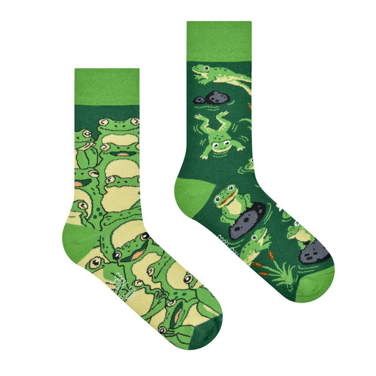 Frosch Socken, Motivsocken, bunte Socken, Geschenkidee für Tierfreunde